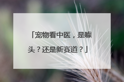 宠物看中医，是噱头？还是新赛道？