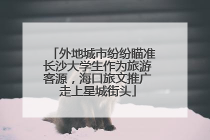 外地城市纷纷瞄准长沙大学生作为旅游客源，海口旅文推广走上星城街头