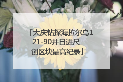 大庆钻探海拉尔乌121-90井日进尺 创区块最高纪录