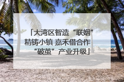 大湾区智造“联姻”精铸小镇 嘉禾借合作“破茧”产业升级