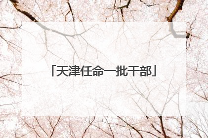 天津任命一批干部