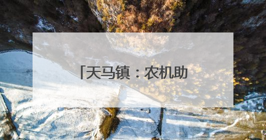 天马镇：农机助力油菜颗粒归仓