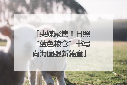 央媒聚焦！日照“蓝色粮仓”书写向海图强新篇章