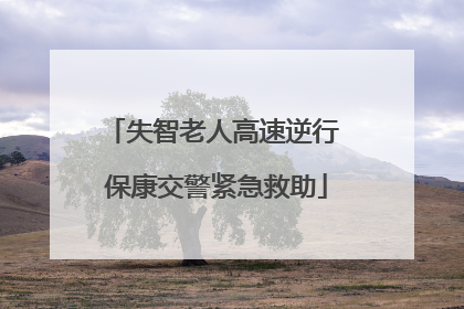 失智老人高速逆行 保康交警紧急救助