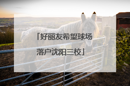 好丽友希望球场落户沈阳三校