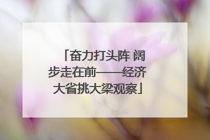 奋力打头阵 阔步走在前——经济大省挑大梁观察