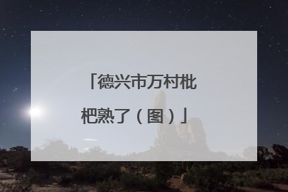 德兴市万村枇杷熟了（图）