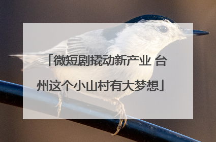微短剧撬动新产业 台州这个小山村有大梦想