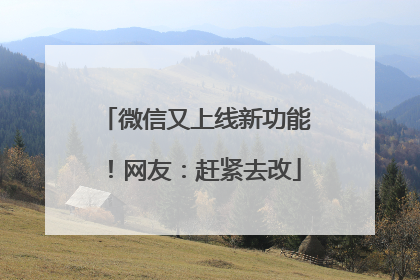 微信又上线新功能！网友：赶紧去改