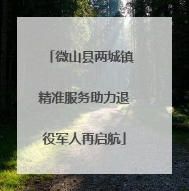 微山县两城镇精准服务助力退役军人再启航