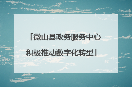 微山县政务服务中心积极推动数字化转型