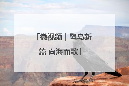 微视频｜鹭岛新篇 向海而歌