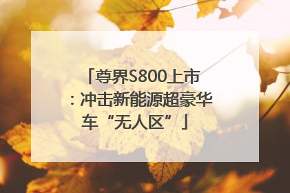 尊界S800上市：冲击新能源超豪华车“无人区”