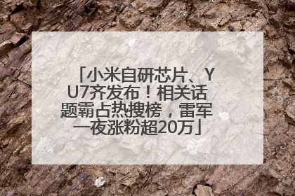 小米自研芯片、YU7齐发布！相关话题霸占热搜榜，雷军一夜涨粉超20万