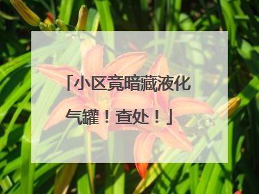 小区竟暗藏液化气罐！查处！