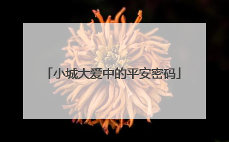 小城大爱中的平安密码