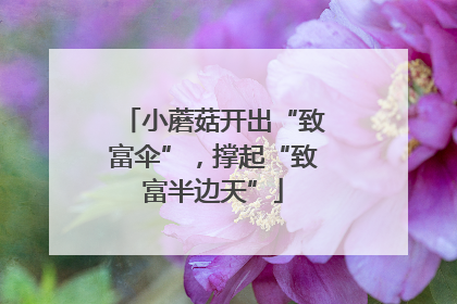 小蘑菇开出“致富伞”，撑起“致富半边天”