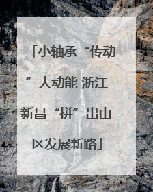 小轴承“传动”大动能 浙江新昌“拼”出山区发展新路