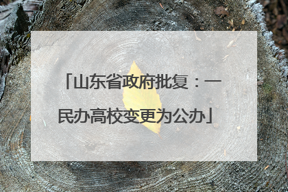 山东省政府批复：一民办高校变更为公办