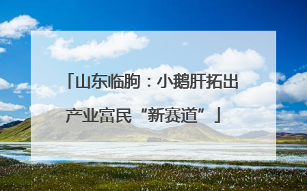 山东临朐：小鹅肝拓出产业富民“新赛道”