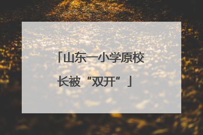 山东一小学原校长被“双开”