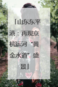 山东东平港：再现京杭运河“黄金水道”盛景