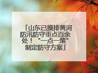 山东已摸排黄河防汛防守重点百余处！“一点一策”制定防守方案