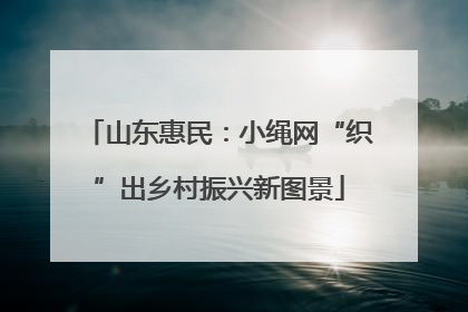 山东惠民：小绳网“织”出乡村振兴新图景