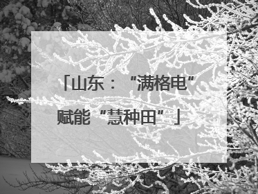 山东：“满格电”赋能“慧种田”