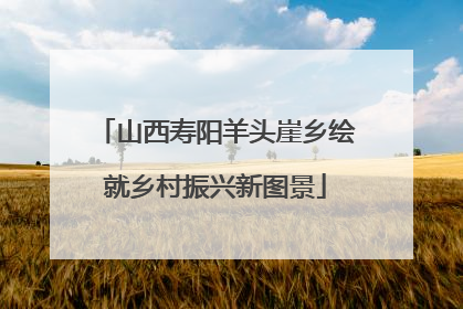 山西寿阳羊头崖乡绘就乡村振兴新图景