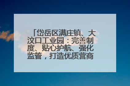 岱岳区满庄镇、大汶口工业园：完善制度、贴心护航、强化监管，打造优质营商“强磁场”