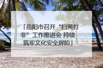岳阳市召开“扫黄打非”工作推进会 持续筑牢文化安全屏障