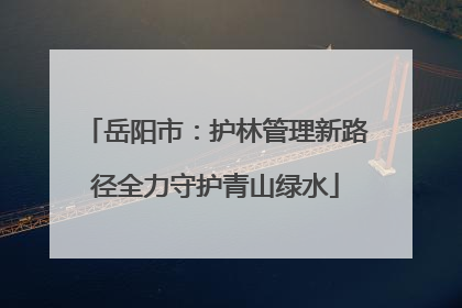 岳阳市：护林管理新路径全力守护青山绿水