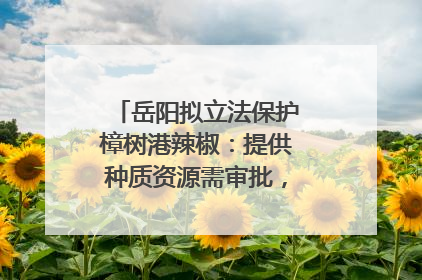 岳阳拟立法保护樟树港辣椒：提供种质资源需审批，违规最高罚5万