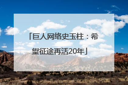 巨人网络史玉柱：希望征途再活20年