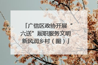 广信区政协开展“六送”履职服务文明新风润乡村（图）