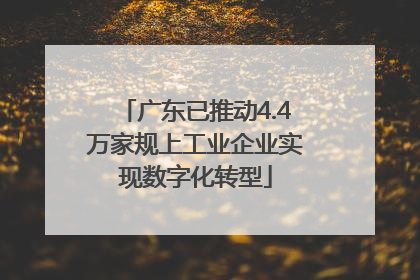 广东已推动4.4万家规上工业企业实现数字化转型