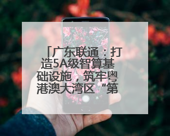 广东联通：打造5A级智算基础设施，筑牢粤港澳大湾区“第一算力引擎”