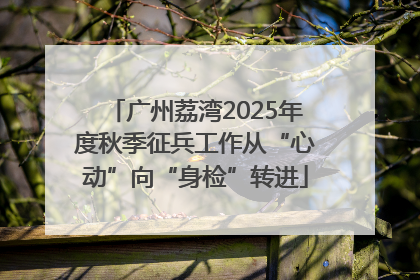 广州荔湾2025年度秋季征兵工作从“心动”向“身检”转进
