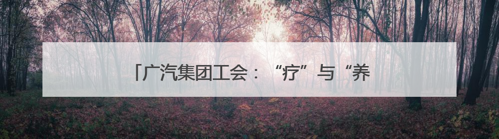 广汽集团工会：“疗”与“养”并重，“休”与“学”同行