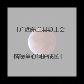 广西东兰县总工会情暖童心呵护成长