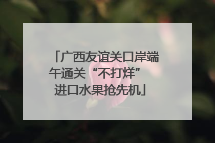 广西友谊关口岸端午通关“不打烊” 进口水果抢先机