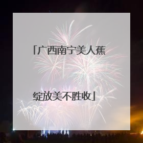 广西南宁美人蕉绽放美不胜收