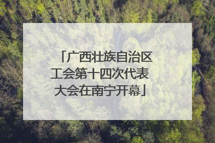 广西壮族自治区工会第十四次代表大会在南宁开幕