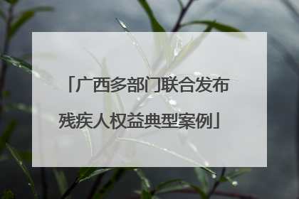 广西多部门联合发布残疾人权益典型案例