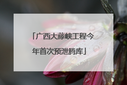 广西大藤峡工程今年首次预泄腾库