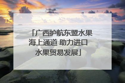 广西护航东盟水果海上通道 助力进口水果贸易发展