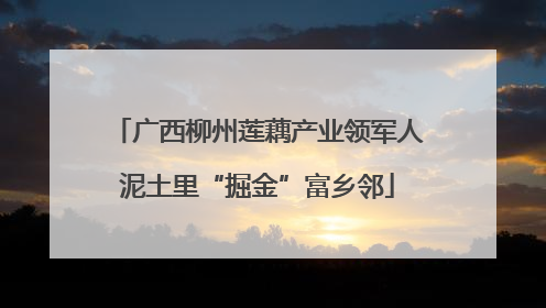 广西柳州莲藕产业领军人泥土里“掘金”富乡邻