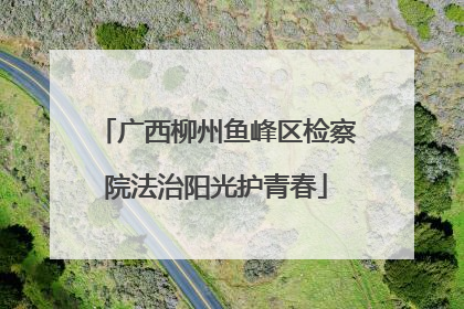 广西柳州鱼峰区检察院法治阳光护青春