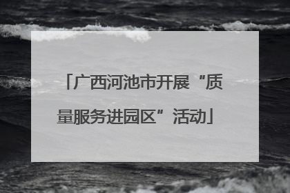 广西河池市开展“质量服务进园区”活动